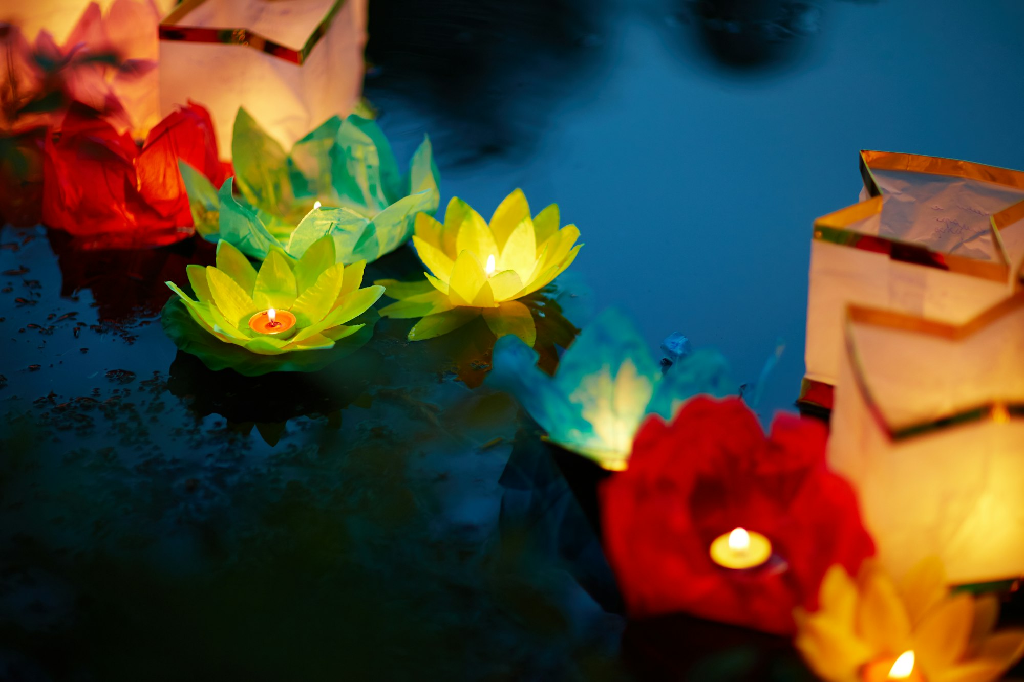 Floral lanterns