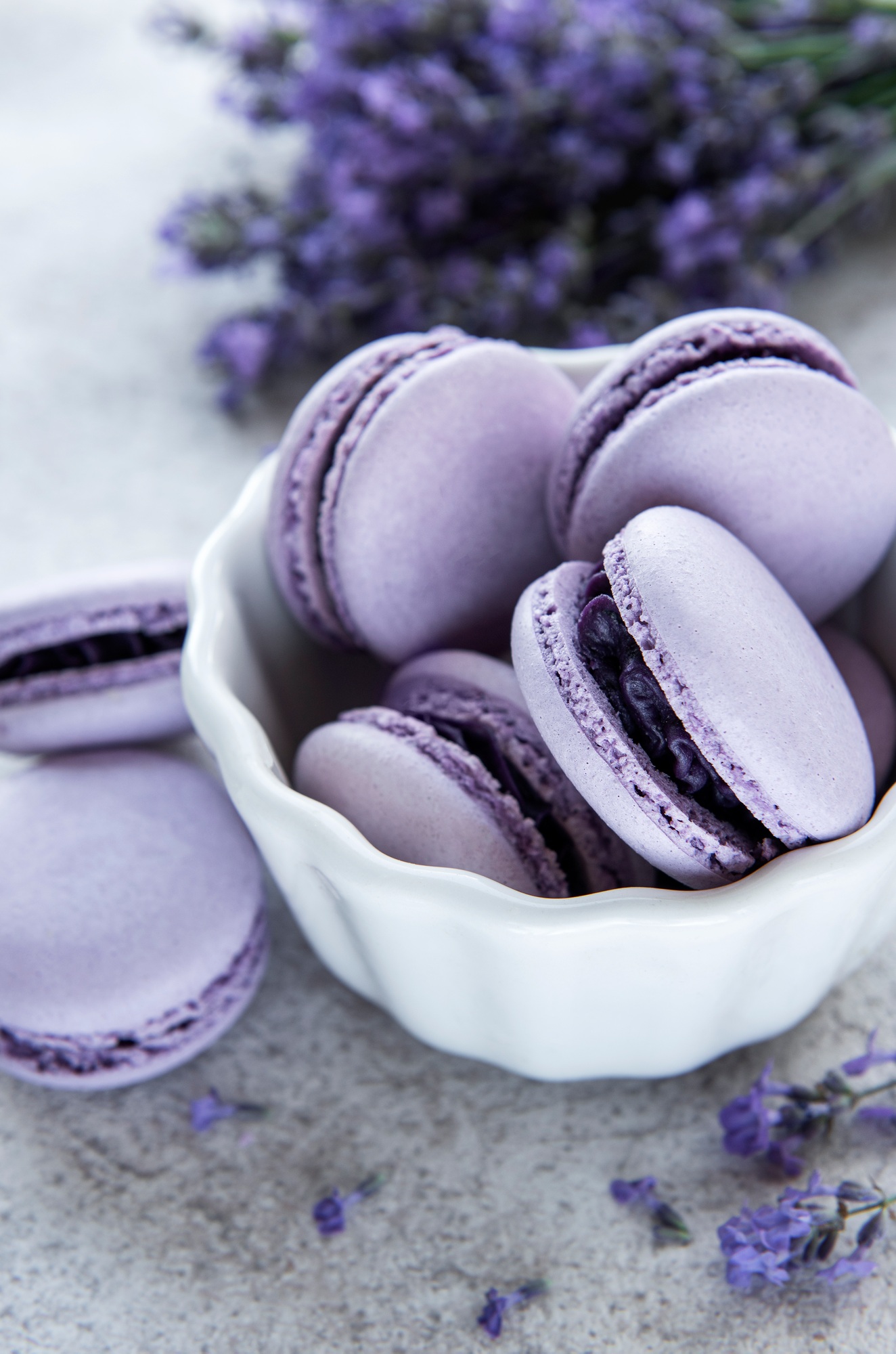 French macarons