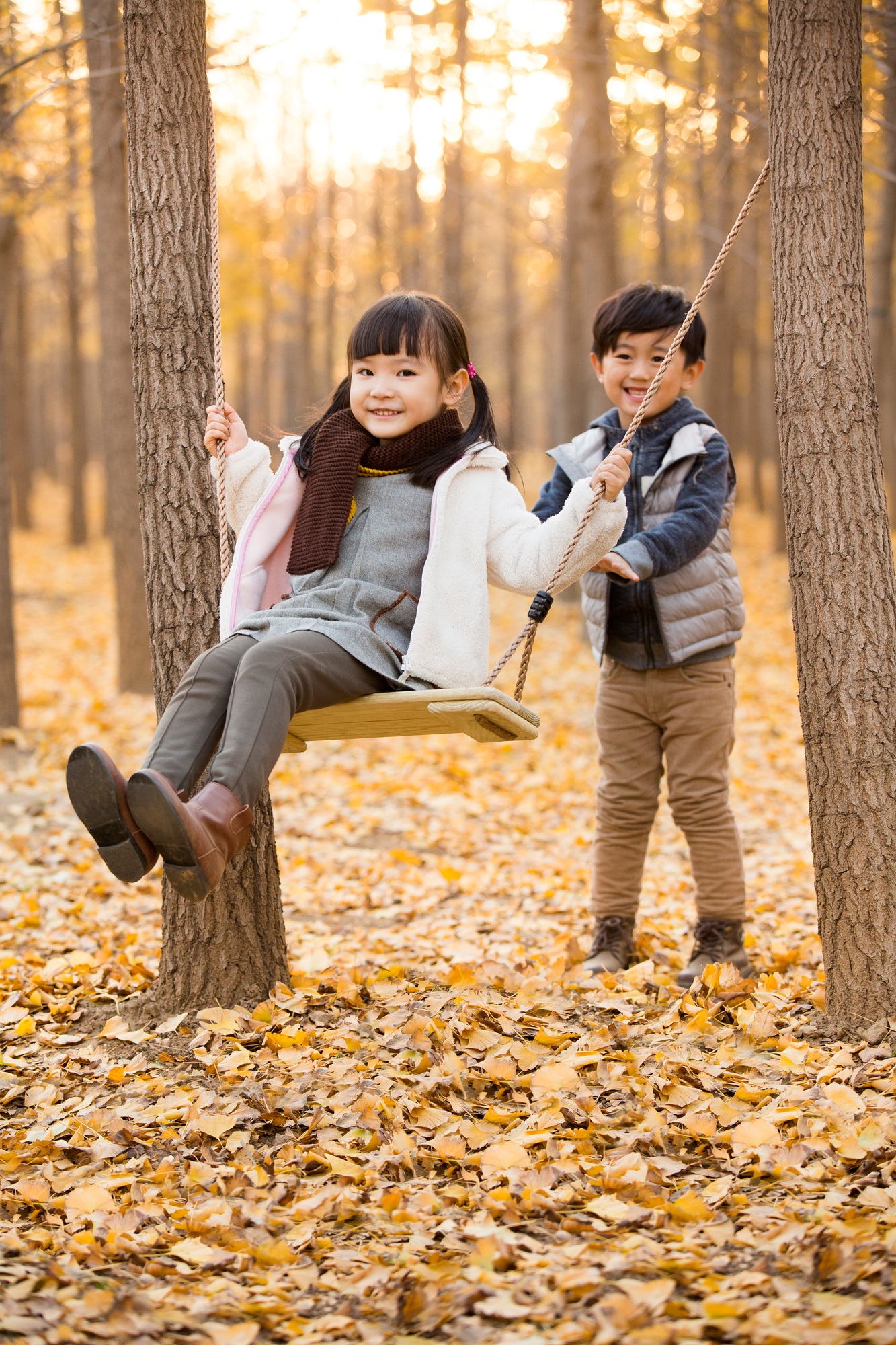 Little boy pushing his sister on a swing in autumn woods