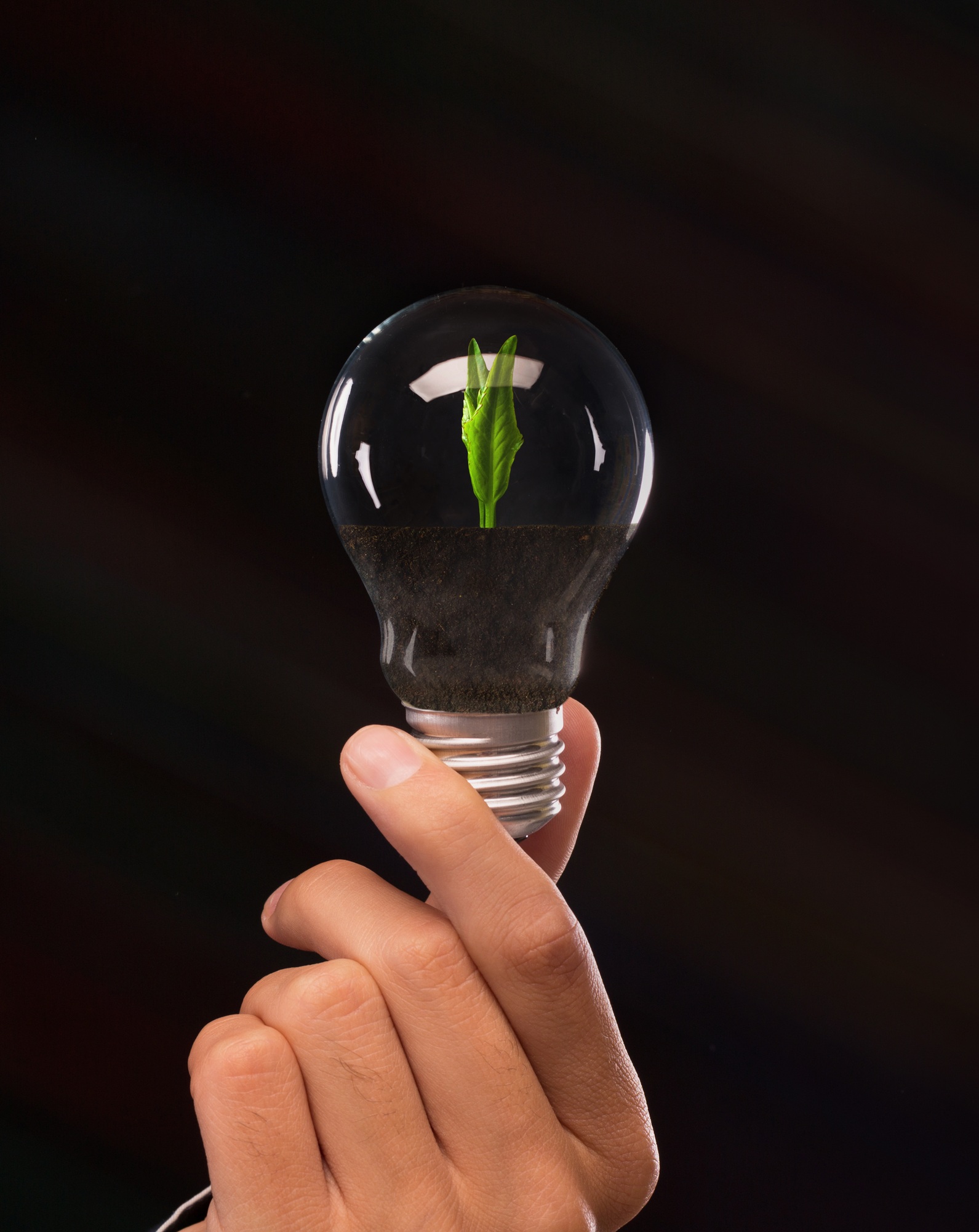 Man holding light bulb with growing plant