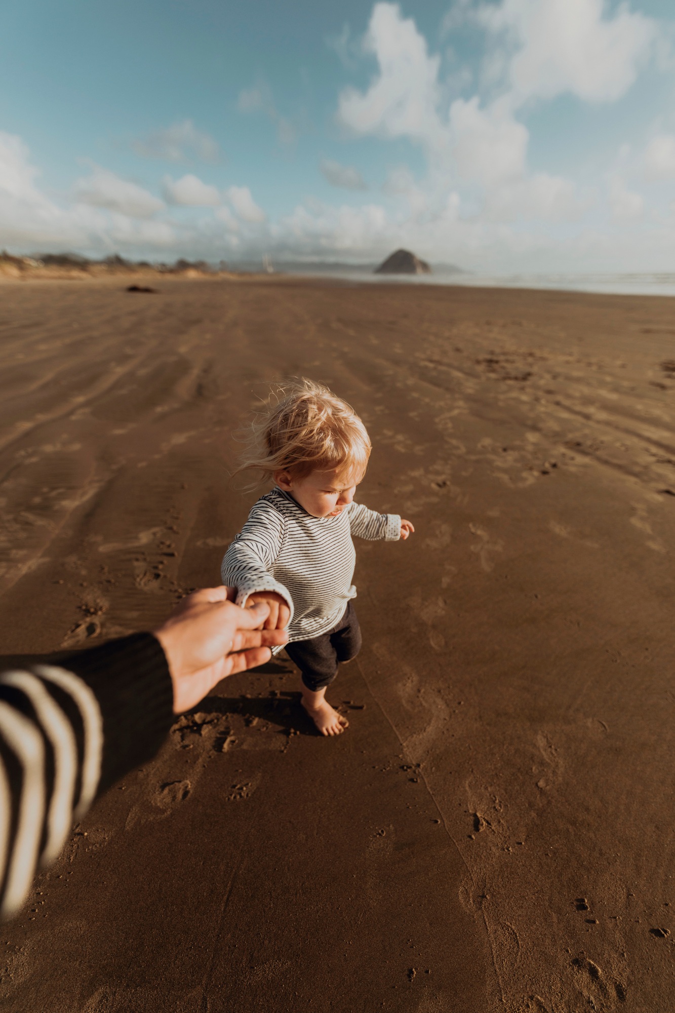 Parent and toddler walking on beach, Morro Bay, California, United States