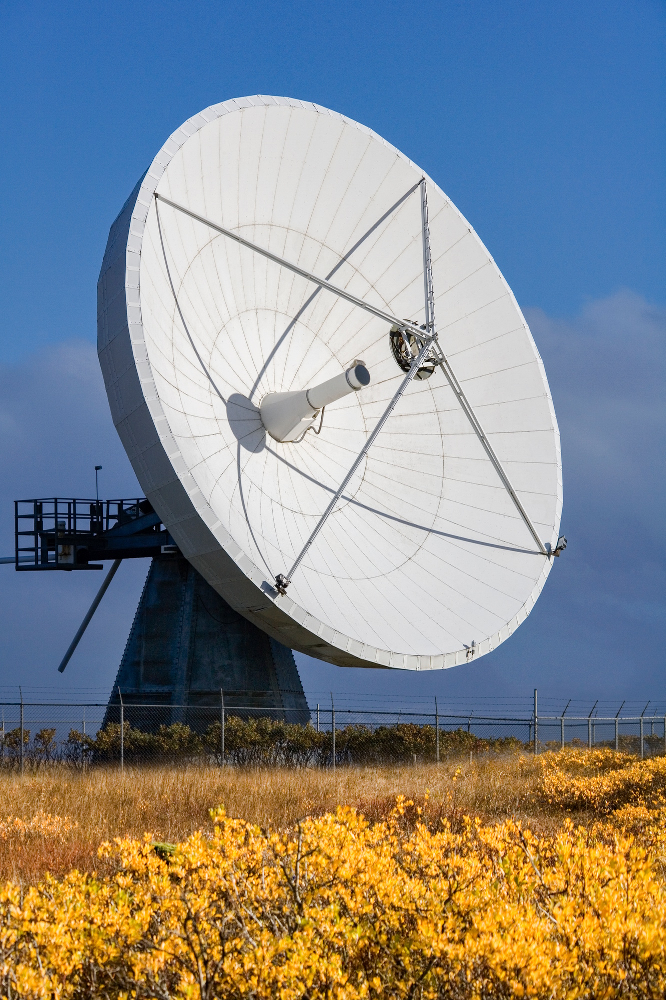 Satellite Communications Dish